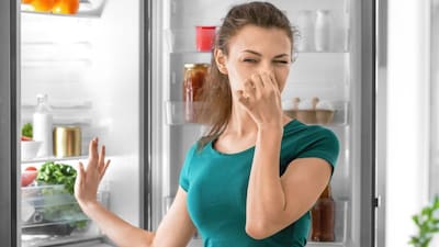 फ्रिज में बदबू? खतरनाक बैक्टीरिया हो सकते हैं! तुरंत करें ये उपाय.