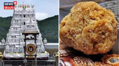 Tirumala Laddu Ghee Adulteration: Special Commission to Probe Truth