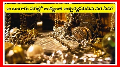 1972లో, బల్గేరియా తీరప్రాంత నగరమైన వర్ణలో ఒక సాధారణ నిర్మాణ ప్రాజెక్టు చేపడుతుండగా.. అది కాస్తా.. పురావస్తు శాస్త్రంలో అనూహ్యమైన ఆవిష్కరణల్లో ఒకటిగా మారింది. ఒక పారిశ్రామిక జోన్ సమీపంలో తవ్వకాలు చేపట్టిన కార్మికులు.. బంగారు వస్తువులు, నగలతో నిండిన పురాతన సమాధులను కనుక్కున్నారు. ప్రారంభంలో అవన్నీ చెల్లా చెదురుగా కనిపించాయి. ఆ తర్వాత అవి ఎంత ముఖ్యమైనవో అర్థమైంది. ఆ తవ్వకాలు ఆపి, పురావస్తు శాస్త్రవేత్తలను పిలిపించారు. వారి సమక్షంలో తవ్వకాలు వెంటనే ప్రారంభమయ్యాయి.