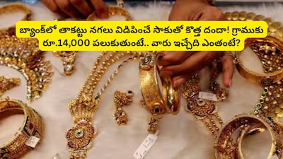 Pledged Gold Buyers: రూ.1,50,000 బంగారం.. రూ. 30,000కే ఎలా అవుతుంది? ఈ లెక్క తెలిస్తే నిద్రపోలేరు! తాకట్టు బంగారం విడిపిస్తామనే వారి వెనుక ఇంత పెద్ద స్కామా? 