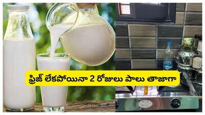 Milk Storage: మన పూర్వీకులు అనుసరించిన అనేక ఇంటి చిట్కాలు అనేవి  శాస్త్రీయంగా కూడా సమర్థించబడినవే. ఫ్రిజ్ లేకపోయినా పాలను కొంతసేపు తాజాగా ఉంచేందుకు సరైన విధానాలు పాటిస్తే సరిపోతుంది. ముఖ్యంగా వేడి వాతావరణంలో పాలు త్వరగా పాడవుతాయి. అందుకే నిల్వ విధానంపై ప్రత్యేకంగా దృష్టి కేంద్రీకరించవలసిన అవసరం ఉంది.