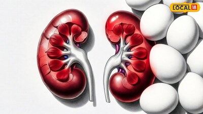 గుడ్లు మంచి పోషకాహారం అయినప్పటికీ వాటిని పరిమితంగా తీసుకోవడమే ఆరోగ్యానికి మంచిదని నిపుణులు సూచిస్తున్నారు. ఎక్కువ ప్రోటీన్ కోసం రోజుకు ఎక్కువ గుడ్లు తినడం మూత్రపిండాలపై ఒత్తిడి పెంచే ప్రమాదం ఉంది. ముఖ్యంగా మూత్రపిండాల సమస్యలు ఉన్నవారు వైద్యుల సలహా తీసుకుని మాత్రమే గుడ్లు తినడం మంచిదని సూచిస్తున్నారు. 