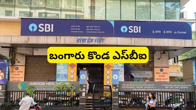 SBI Stock Price: మల్టీబ్యాగర్ రేసులో ఎస్‌బీఐ.. రూ.5 లక్షలకు 10 లక్షలు, బంగారంలా మారుతోన్న స్టేట్ బ్యాంక్ షేరు!  