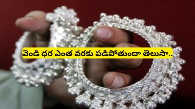 Silver Price Prediction:  వెండి ధర ఇంకా ఎంత పడిపోతుందో తెలిస్తే ఎగిరి గంతేస్తారు.. జూన్ 2026 నాటికి షాకింగ్ అంచనాలు!