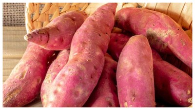 sweet potato
