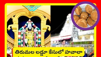 తిరుమల లడ్డూ కేసులో హవాలా కోణం