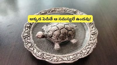 Unlock Prosperity: Vastu Tips for Placing Tortoise Idols at Home
