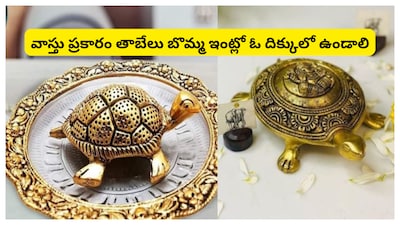 Vastu Tips: హిందూ సంప్రదాయం ప్రకారం, వాస్తుకు చాలా ఇంపార్టెంట్ ఉంది. వాస్తును దైవంతో సమానంగా భావిస్తారు. ఒక ఇళ్లు కట్టాలన్నా, ఒక వస్తువును ఒక దిశలో పెట్టాలన్నా, పని ప్రారంభించాలన్నా అలా ఎన్నో సందర్భాల్లో వాస్తును పాటిస్తారు. అందుకే హిందూ సంప్రదాయంలో వాస్తుకు ప్రథమ స్థానం ఇవ్వాలి. అలాగే ఇంట్లో దోషాలు పోవాలంటే వాస్తుతో పాటు చాలా మంది చాలా చిట్కాలనే పాటిస్తారు.