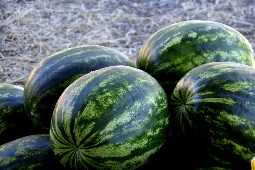 Watermelon: కట్ చేసిన పుచ్చకాయను ఎన్ని గంటల్లోపు తినాలో తెలుసా? లెట్ ...