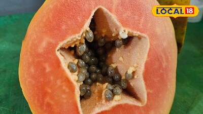 Buy Perfect Papayas: Simple Tips to Pick Sweet, Ripe Fruit Every Time