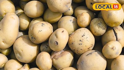 Potato Storage Secrets: Avoid This Mistake to Keep Potatoes Fresh for 3 Months!
