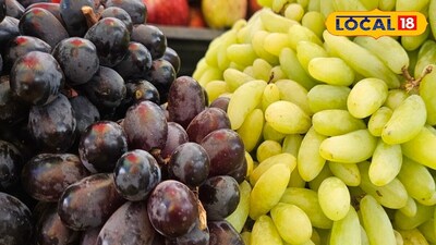 Green vs Black Grapes: Which is Sweeter, Healthier? Doctors Reveal Surprising Truth