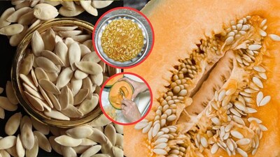 खरबूजा बिया फेकून देऊ नका! त्यांचे सुपरफूड फायदे आणि साठवण्याची पद्धत जाणून घ्या.