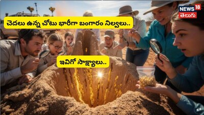 উইপোকা প্রকাশ করল লুকানো সোনার ভান্ডার: বিজ্ঞানীদের চাঞ্চল্যকর খনিজ অনুসন্ধানের গোপন তথ্য