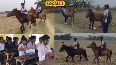 horse ride to school