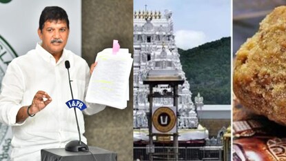 TDP MLA Dhulipalla Narendra Slams YSRCP Over Tirumala Laddu Ghee Adulterationis 