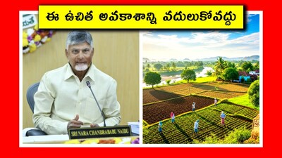 ఈ ఉచిత అవకాశాన్ని వదులుకోవద్దు