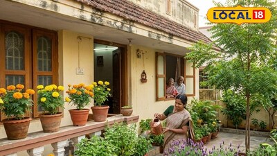 ఇంట్లో ఈ మొక్కలుంటే దోమలు పరార్