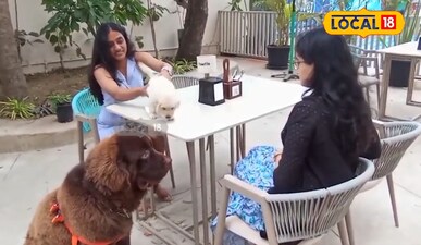 జంతు ప్రేమికులు, జంతు పోషకుల కోసం విశాఖలో పఫీ ఫ్రెండ్లీ పెట్స్ రెస్టారెంట్