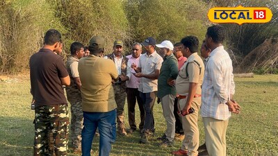 గోదావరి జిల్లాలో పెద్దపులి ఒకటేనా మరొకటి ఉందా ఆసక్తికర విషయం