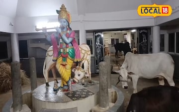 గోమాత సేవలో ఒక విశిష్ట ఏర్పాటు గరుకు స్తంభాలు