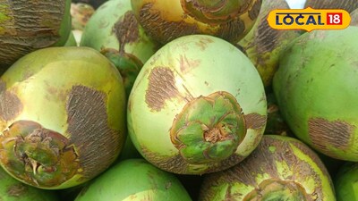 కొబ్బరికాయను చూసి లోపల నీళ్లు ఉన్నాయో లేదో ఎలా కనిపెట్టాలి?