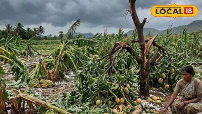 ఏపీలో అకాల వర్షాలతో 1,215 హెక్టార్లలో పంట నష్టం...!