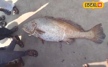 కోనసీమలో