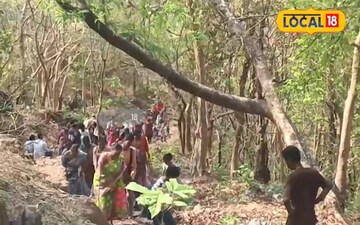 దట్టమైన