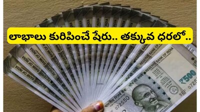 బంగారం లాంటి స్టాక్.. డబ్బుల వర్షం కురిపించనున్న తక్కువ ధర షేరు!