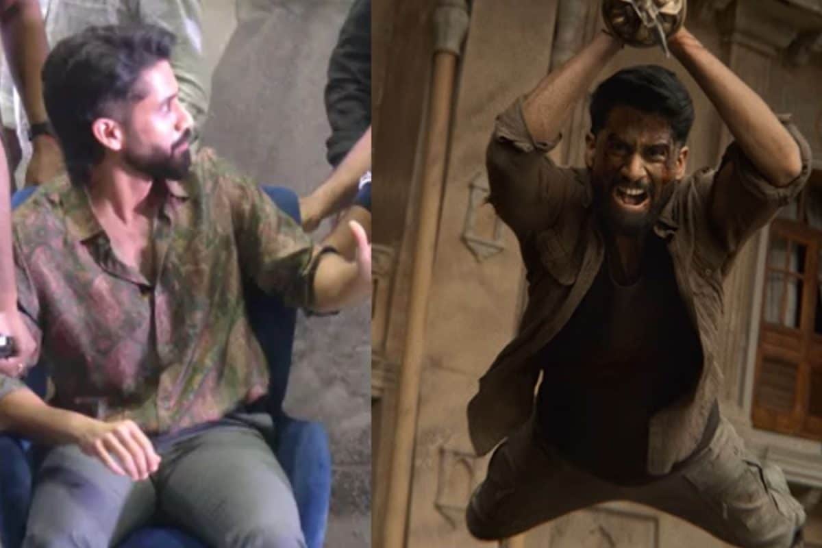 Naga Chaitanya: అక్కినేని ఫ్యాన్స్ గుండె ఆగినంత పనైంది.. స్టేజ్‌పై పడిపోయిన నాగ చైతన్య..!