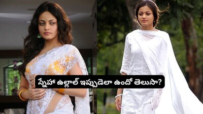 Sneha Ullal: From Debut Sensation to Autoimmune Battle & Comeback