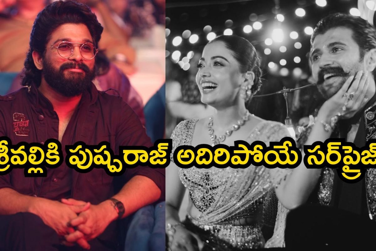 Allu Arjun: రష్మిక మందన్నకు అల్లు అర్జున్ స్పెషల్ గిఫ్ట్.. రిసెప్షన్ వేడుకలో అదిరిపోయే సర్‌ప్రైజ్