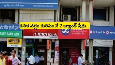 Bank Stocks: మీ డబ్బుకు రూ.2కు పైగా వడ్డీ అందించే 2 బంగారం లాంటి బ్యాంక్ షేర్లు.. సీఎల్ఎస్ఏ అంచనా!