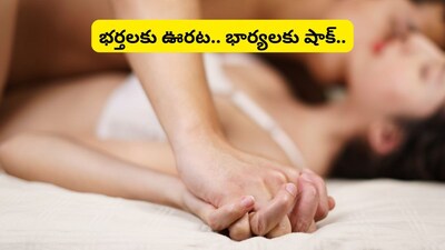 Husband Wife Relationship: అలా చేస్తే తప్పు కాదు.. శృంగారంపై కోర్టు కీలక వ్యాఖ్యలు