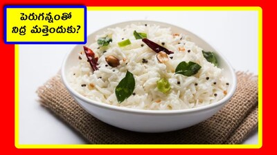 Curd Rice: మీకు నిద్ర సమస్య ఉంటోందా? నిద్ర సరిగా పట్టట్లేదా? అయితే మీరు సింపుల్‌గా పెరుగన్నం తినండి చాలు. నిద్ర మామూలుగా పట్టదు. విపరీతంగా పడుతుంది. ఇందుకు బలమైన సైంటిఫిక్ కారణాలు ఉన్నాయి. పెరుగన్నం తింటే.. పొట్టలో ఏం జరుగుతుందో, ఎందుకు నిద్ర వస్తుందో తెలుసుకుందాం.