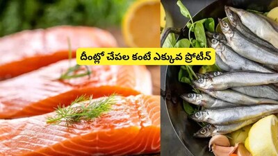 Beyond Fish: Top Vegetarian Protein Powerhouses You Need to Know!