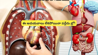 शरीराचे 6 अवयव ज्यांच्याशिवायही तुम्ही जगू शकता: शरीराची अद्भुत अनुकूलता उघड