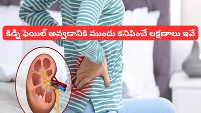 Kidney Cancer: కిడ్నీ క్యాన్సర్ రావడానికి ముందు కనిపించే లక్షణాలు ఇవే.. మీ ఒంట్లో ఈ మార్పులు కనిపిస్తే ప్రాణాలకే ముప్పు! 