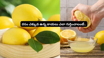 Juicy Lemons Every Time: Expert Tips for Picking the Best This Summer