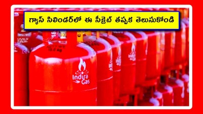 Domestic LPG Cylinder: మనం ఇళ్లలో వాడే గ్యాస్ సిలిండర్‌లో గ్యాస్ 14.2 కేజీలు ఉంటుంది. కానీ హోటళ్లలో వాడే కమర్షియల్ సిలిండర్‌లో మాత్రం 19 కేజీలు ఉంటుంది. మరి ఇళ్లలో సిలిండర్‌కి 14 కేజీలు కాకుండా.. 200 గ్రాములు అదనంగా ఎందుకు పెట్టారో తెలుసా?