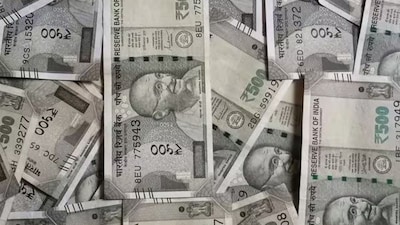 Investment: రూ.20 లక్షల అప్పుతో రూ.60 లక్షలు సంపాదించాడు.. ఐడియా అంటే ఇలా ఉండాలి!