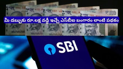 SBI FD: రూ. 2 లక్షలు పెడితే రూ. 3 లక్షలు మీ సొంతం! ఎస్‌బీఐ బంగారం లాంటి స్కీమ్‌తో రూ. లక్ష వడ్డీ గ్యారెంటీ!