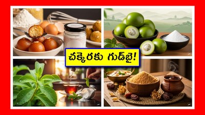 5 Best Sugar Alternatives: మన తాత ముత్తాతలు బెల్లం వాడేవారు. కాబట్టి డయాబెటిస్ సమస్య పెద్దగా ఉండేది కాదు. కానీ పంచదార వచ్చాక.. అన్ని సమస్యలూ మొదలయ్యాయి. అందుకే డాక్టర్లు.. షుగర్‌ని దూరం పెట్టాలి అంటున్నారు. మరి దాని బదులు ఏం వాడవచ్చో నిపుణుల సలహాలతో తెలుసుకుందాం.