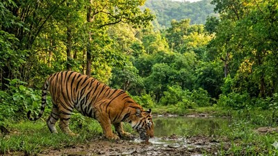 ప్రతీకాత్మక చిత్రం