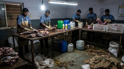 ప్రతీకాత్మక చిత్రం