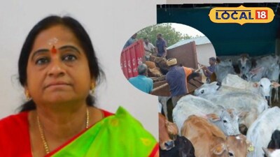 రాజన్న కోడెల మృత్యువాత.. వేములవాడ రాజన్న ఆలయ ఈవో రమాదేవి 