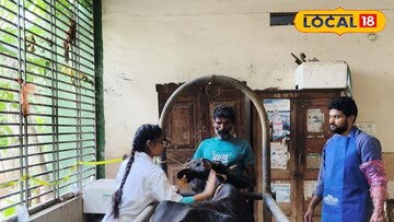 వేసవికాలంలో