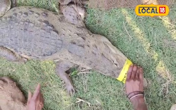 గోదావరి