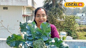 సేంద్రీయ